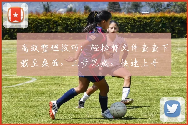 高效整理技巧：轻松将文件查查下载至桌面，三步完成，快速上手