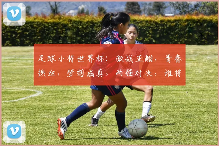 足球小将世界杯：激战正酣，青春热血，梦想成真，两强对决，谁将问鼎