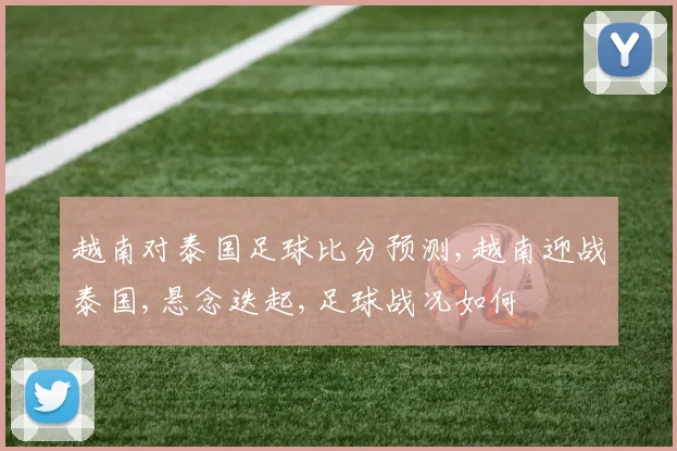 越南对泰国足球比分预测,越南迎战泰国,悬念迭起,足球战况如何