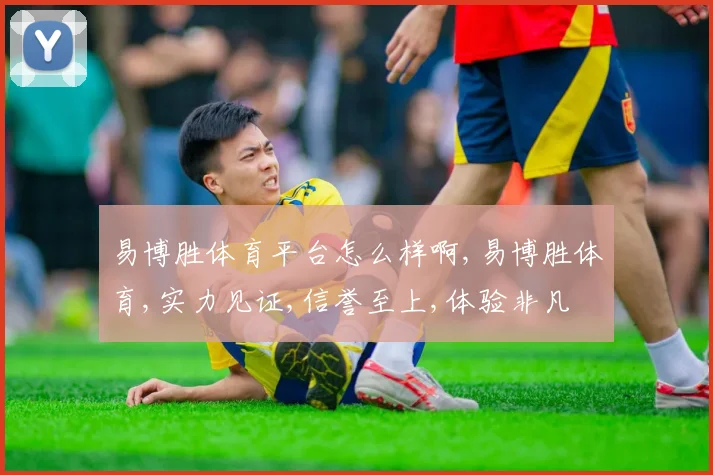 易博胜体育平台怎么样啊,易博胜体育,实力见证,信誉至上,体验非凡