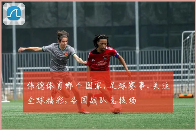 伟德体育哪个国家,足球赛事,关注全球精彩,各国战队竞技场