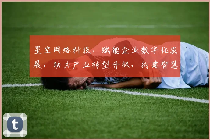 星空网络科技，赋能企业数字化发展，助力产业转型升级，构建智慧未来新生态