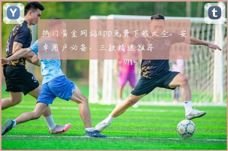 热门黄金网站app免费下载大全，安卓用户必备，三款精选推荐