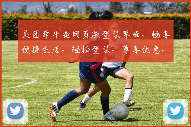 美团牵牛花网页版登录界面，畅享便捷生活，轻松登录，尊享优惠，三步即可