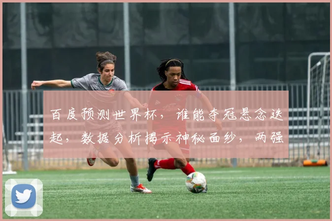百度预测世界杯，谁能夺冠悬念迭起，数据分析揭示神秘面纱，两强相遇逗笑世界