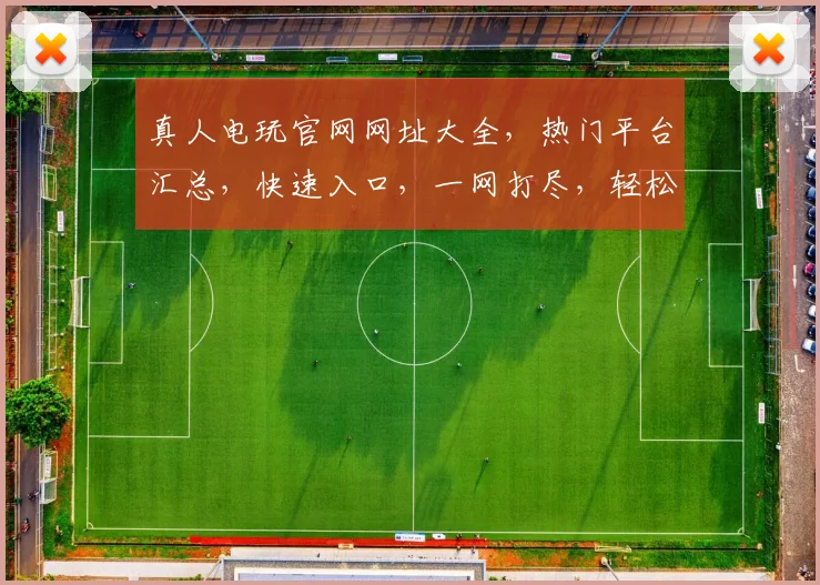 真人电玩官网网址大全，热门平台汇总，快速入口，一网打尽，轻松畅玩